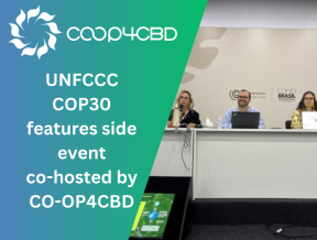Featured image for UNFCCC COP30 features side event co-hosted by CO-OP4CBD