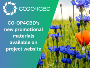Featured image for CO-OP4CBD's new promotional materials available on project website