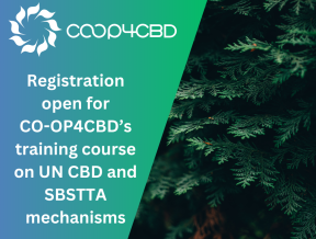 Featured image for Registration open for CO-OP4CBD’s training course on UN CBD and SBSTTA mechanisms