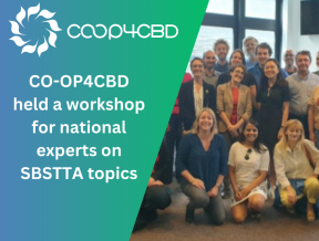 Featured image for CO-OP4CBD held a workshop for national experts on SBSTTA topics