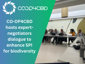 Featured image for CO-OP4CBD hosts expert-negotiators dialogue to enhance science-policy interface for biodiversity