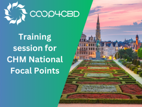 Featured image for The National Focal Points of the CBD Clearing House Mechanism prepare for a CO-OP4CBD’s training session in Brussels