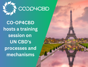 Featured image for CO-OP4CBD hosts a Central and Eastern European countries regional training session on UN CBD's processes and mechanisms in Paris