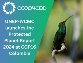 Featured image for UNEP-WCMC launches the Protected Planet Report 2024 at COP16 Colombia
