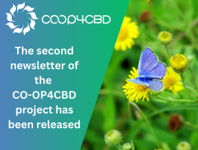 Featured image for The second newsletter of the CO-OP4CBD project has been released