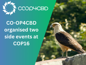 Featured image for CO-OP4CBD Organised Two Side Events at CBD's COP16 Together with Three Other Key SPI Initiatives