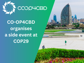 Featured image for CO-OP4CBD Joins the Global Conversation: Side Event on Open Science and Science Communication in the Science-Policy Interface at COP29