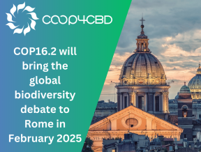 Featured image for COP16.2 will bring the global biodiversity debate to Rome in February 2025