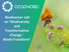 Featured image for New Research Call: Biodiversa+ Call on “Biodiversity and Transformative Change – BiodivTransform”