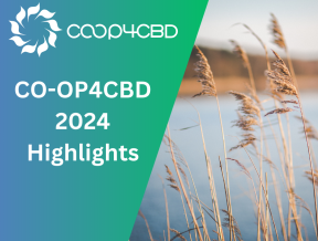 Featured image for CO-OP4CBD looks back on a year of achievements in 2024 highlight video