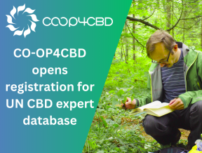 Featured image for CO-OP4CBD launches registration for a UN CBD expert database