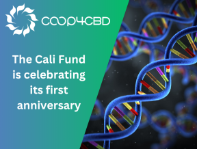 Featured image for The Cali Fund is celebrating its first anniversary