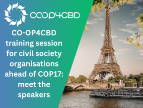 Featured image for CO-OP4CBD training session for civil society organisations ahead of COP17: meet the speakers