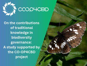 Featured image for On the contributions of traditional knowledge in biodiversity governance: A study, supported by the CO-OP4CBD project